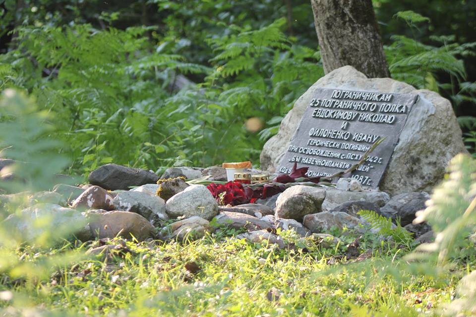 Image 02