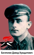 Багателиа Давид Хуащытович