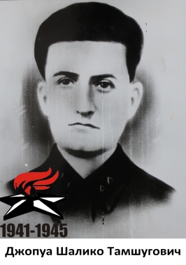 Джопуа Шалико Тамшугович