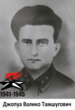 Джопуа Валико Тамшугович