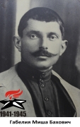 Габелия Миша Бахович