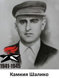 Камкия Шалико