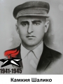 Камкия Шалико
