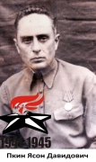 Пкин Ясон Давидович