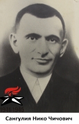 Сангулия Нико Чичович