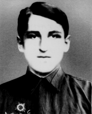 Ажиба Михаил Павлович