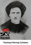 Чолокуа Нестор Ситович