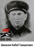 Шинелия Кибей Тамшигович