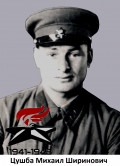 Цушба Михаил Ширинович