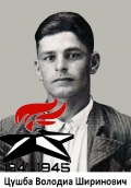 Цушба Воладиа Ширинович